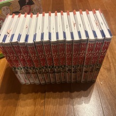 世界の歴史15巻セットの画像