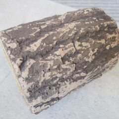 レアものペン立ての画像