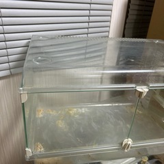 ハムスターゲージ⓸
の画像