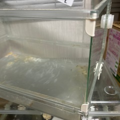 ハムスターゲージ⓸
の画像