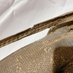 【お取引き中】オオトカゲ　剥製の画像