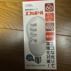購入から1年以内　電球型蛍光ランプ　5個セット　OHM エコなポール 口金E17 の画像