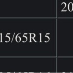 【新品未使用】ZACPICK スノートロッター 3 ツイストロック ST10の画像