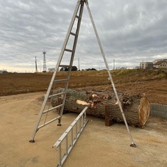 脚立　園芸用　ハシゴの画像