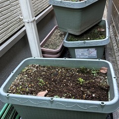 プランター、支柱の画像