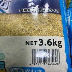 小鳥の食事　インコ文鳥十姉妹の画像