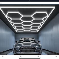 蜂の巣照明取り付けます