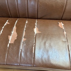 ダイニングチェア　ソファーの画像