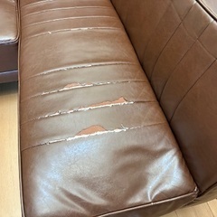 ダイニングチェア　ソファーの画像