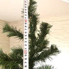 クリスマスツリーの画像