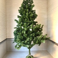 クリスマスツリーの画像