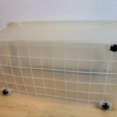 衣装収納ケース・押し入れ収納①の画像