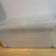 衣装ケース・押し入れ収納②の画像