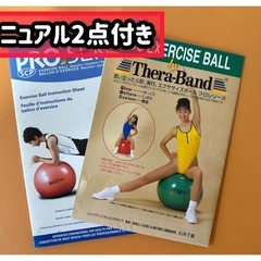 バランスボール TheraBandプロシリーズ 緑65cm マニュアル付 3000円【整骨院閉院処分】の画像