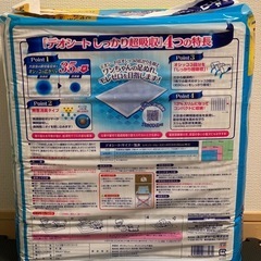 犬用セットの画像