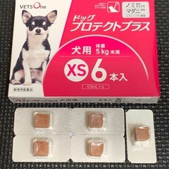 犬用セットの画像