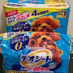 犬用セットの画像