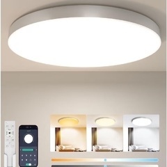 シーリングライトの画像