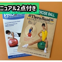 バランスボール TheraBandプロシリーズ 赤55cm マニュアル付 2000円【整骨院閉院処分】の画像