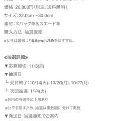 【未使用】10周年記念限定モデル　SANGACIO サンガッチョ スニーカー グレー 28cm GRAY の画像