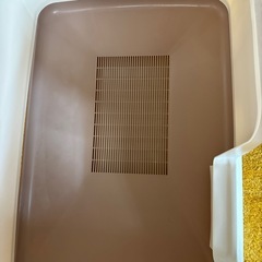 デオトイレ 大 中古の画像