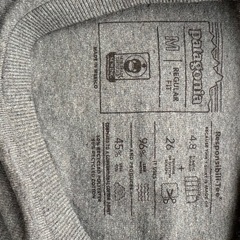 【新品】Patagonia パタゴニア ロングTシャツの画像