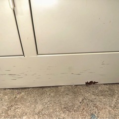 収納　配送無料の画像