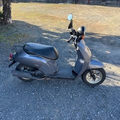 1178.　格安　ホンダ　トゥデイ AF61 原付　バイク　50cc 車体　埼玉の画像