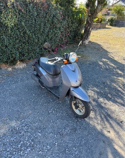 1178.　格安　ホンダ　トゥデイ AF61 原付　バイク　50cc 車体　埼玉