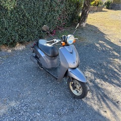 1178.　格安　ホンダ　トゥデイ AF61 原付　バイク　50cc 車体　埼玉の画像