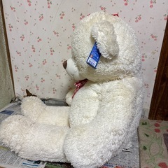 ぬいぐるみ　くまの画像