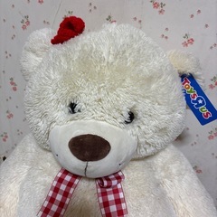 ぬいぐるみ　くまの画像