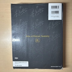 👨👩ネッター　解剖学アトラス　原書第6版の画像