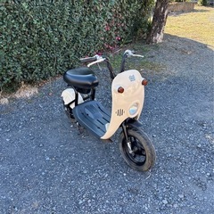 1181.スズキ　チョイノリ　CZ41A 原付　バイク　50cc 車体　埼玉の画像