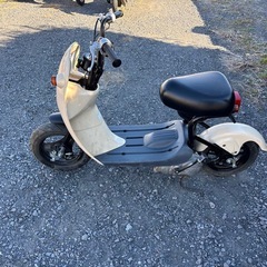 1181.スズキ　チョイノリ　CZ41A 原付　バイク　50cc 車体　埼玉の画像