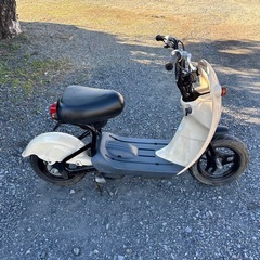1181.スズキ　チョイノリ　CZ41A 原付　バイク　50cc 車体　埼玉の画像