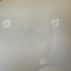 おひるねクッションの画像