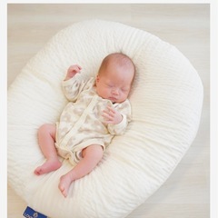 おひるねクッションの画像