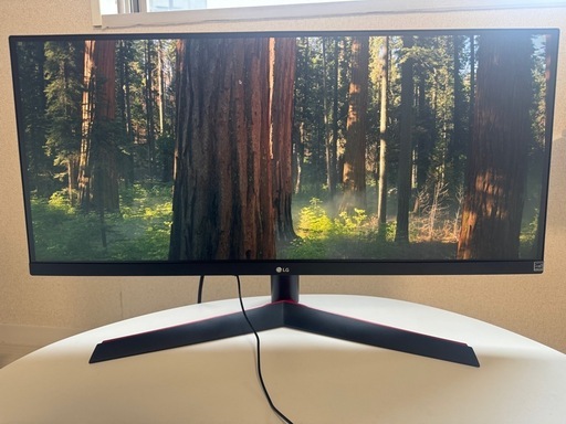 LG ゲーミング モニター 29インチ 29WP60G-B　