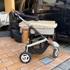 エアーバギーの画像