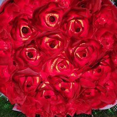 iDeCoやNISAに詳しい方