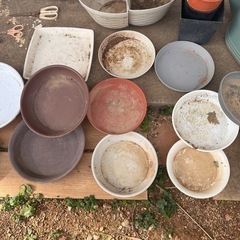 鉢と鉢受け皿の画像