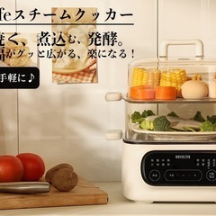 電気蒸し器の画像