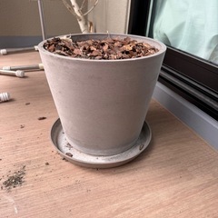 植木鉢の画像