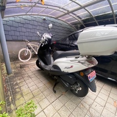 台湾ホンダ　Dio U＋ピンクナンバーの画像