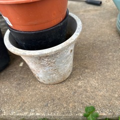 鉢と鉢受け皿の画像