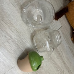 ハムスターの飼育セット　　　　　の画像