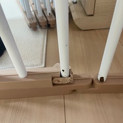 サークル ケージの画像