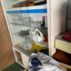 Nikon ニコン カメラ ショーケースの画像