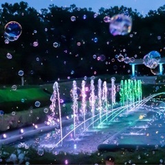 ✨🍀12月18日（木）19時〜 奥武山公園でゆったりお喋り…